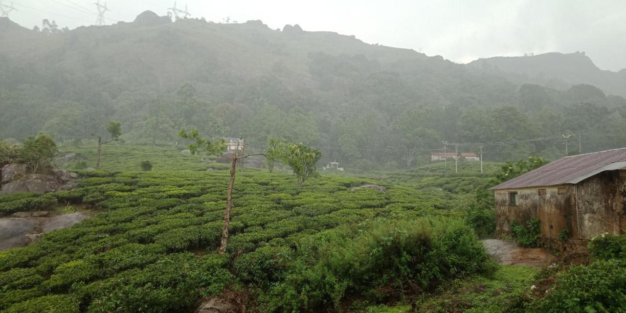 Tea Dale - All Rooms With Tea Estate View Муннар Экстерьер фото