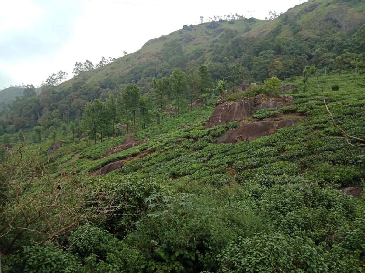 Tea Dale - All Rooms With Tea Estate View Муннар Экстерьер фото